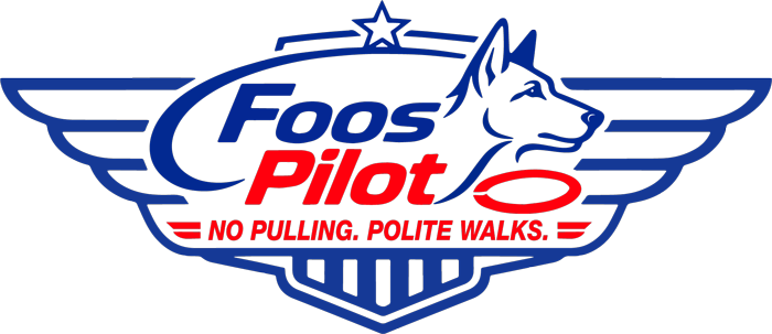 Foos Pilot